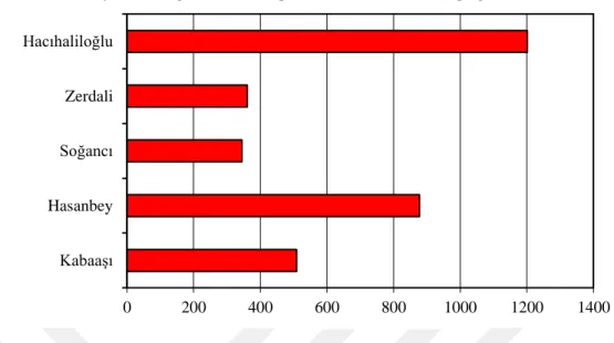 Grafik  1. Kayısı sızıntı gamlarına ait toplam fenolik miktarları (mg/kg) 