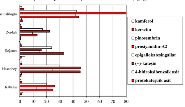 Çizelge  5’de  belirtilen  sonuçlar  değerlendirildiğinde  kayısı  sızıntı  gamlarında  tespit  edilen  epigallokateşingallat  değerleri  9.435-41.661mg/kg  aralığında  bulunmuş  olup  en  yüksek  epigallokateşingallat  hacıhaliloğlu  sızıntı  gamı  çeşidi
