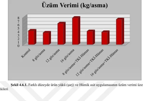 ġekil 4.6.1. Farklı düzeyde ürün yükü (Ģarj) ve Hümik asit uygulamasının üzüm verimi üzerine  etkileri 