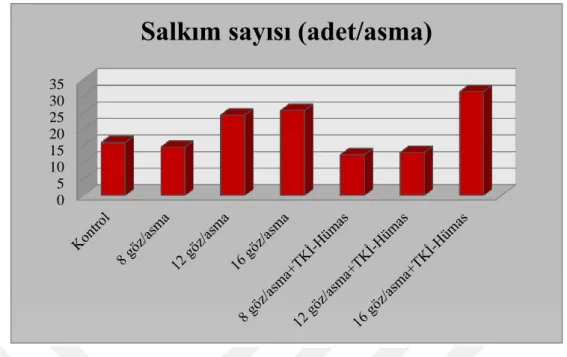 ġekil 4.7.1.  Farklı düzeyde ürün yükü (Ģarj) ve Hümik asit uygulamasının salkım sayısı üzerine  etkileri 