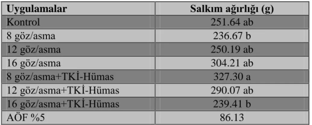 Çizelge 4.8.1. Farklı düzeyde ürün yükü (Ģarj) ve Hümik asit uygulamasının salkım ağırlığı  üzerine etkileri 