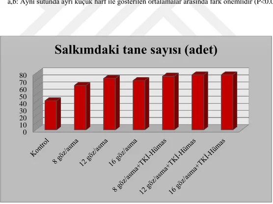 ġekil 4.10.1. Farklı düzeyde ürün yükü (Ģarj) ve Hümik asit uygulamasının salkımdaki tane  sayısı üzerine etkileri