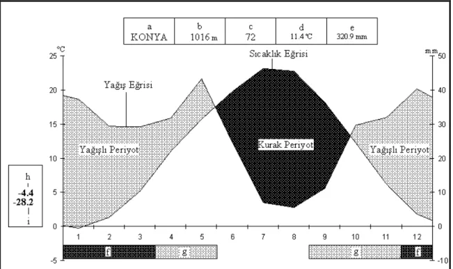 Şekil 3.2. Konya’nın ombrotermik iklim diyagramı (Yıldıztugay, 2006). 