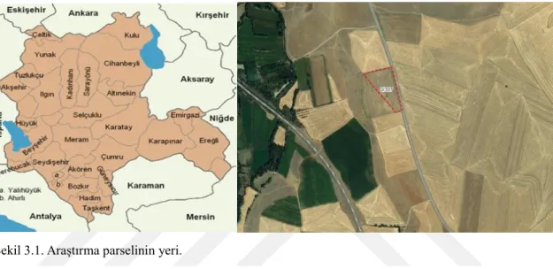 Şekil 3.1. Araştırma parselinin yeri. 