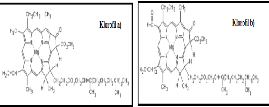 Şekil 3.3. Ru bazlı N3, N719 ve siyah boyar maddenin kimyasal yapısı 