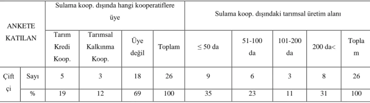 Çizelge 4.12. Ortakların sulama kooperatifi dışında üye oldukları örgütler ve koop. dışındaki tarımsal  üretim alanları 