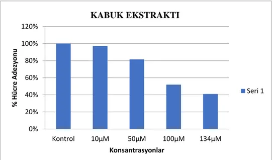 Şekil 4.12 .  Yer elması kabuğunun MCF-7 hücre hattı üzerine 48 saat uygulamasının adezyon üzerine  konsantrasyona bağlı etki grafiği