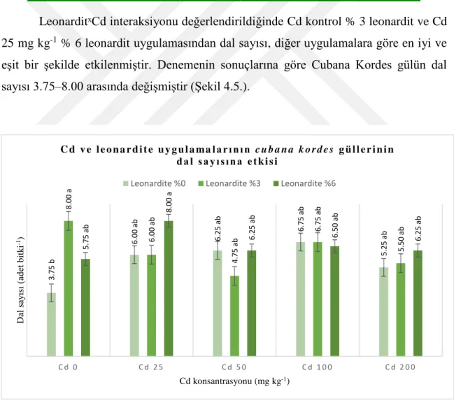 Şekil 4. 5. Kadmiyum ve leonardit uygulamalarının Cubana kordes güllerinin dal sayısına etkisi