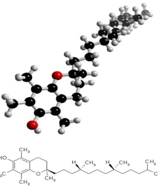 Şekil 5. E vitaminin yapısı 