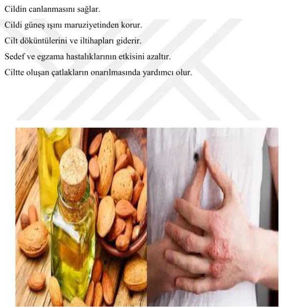 Şekil 11. Badem yağı 