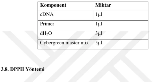 Tablo 3.7.1. Real Time PCR’da kullanılan bileşenler ve miktarları 