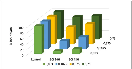 Grafik 4.1.3. Elde edilen ekstraktın DLD-1 hücre hattına 24-48 saatlik inhibisyon etkileri 