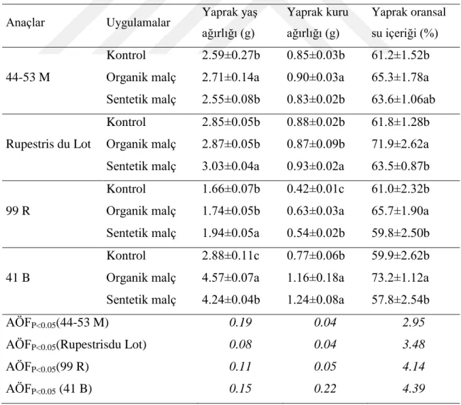 Çizelge 4.1. Farklı malç uygulamalarının asma anaçlarında yaprak yaş, yaprak kuru ağırlıkları ve yaprak  oransal su içeriği üzerine etkileri 