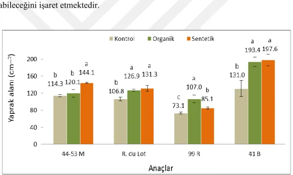 ġekil 4.3. Farklı malç uygulamalarının yaprak alanı (cm 2 ) üzerine etkileri 