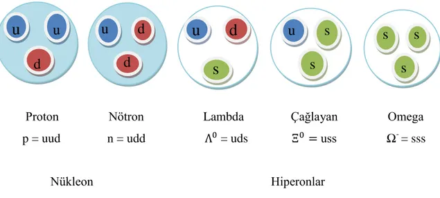 ġekil 1. 2. Nükleon ve örnek olarak verilen hiperonların kuark içeriklerinin Ģematik gösterimi 