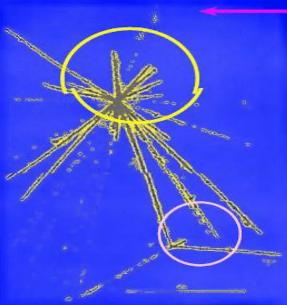 ġekil  2.2.  Hiper  çekirdeğin  ilk  gözlendiği  reaksiyonun  fotoğraf  emülsiyonunun  Ģematik  gösterimi(Danysz, 1953)