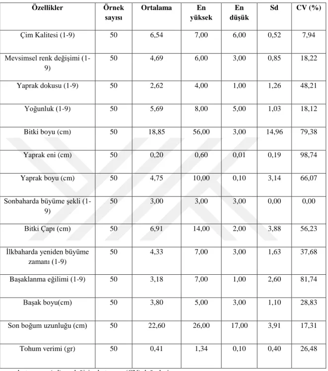 Çizelge 4.1.  Agrostis canina L. genotiplerinde incelenen özelliklerin ortalama, en yüksek, en düşük,