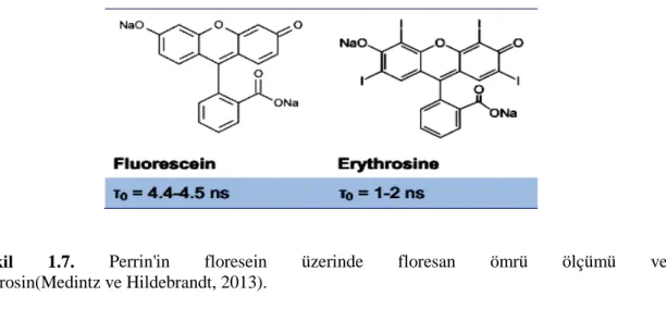 Şekil  1.7.  Perrin'in floresein üzerinde floresan ömrü ölçümü ve  eritrosin(Medintz ve Hildebrandt, 2013)