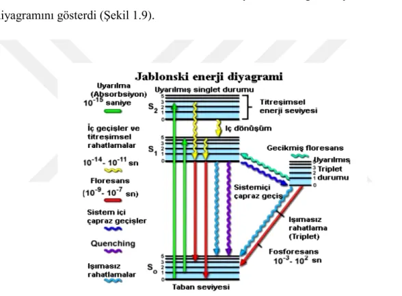 Şekil 1.9. Uyarma enerji yeniden dağıtım yollarının Jablonski diyagramı (Forster, 1959)