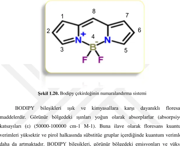 Şekil 1.20. Bodipy çekirdeğinin numaralandırma sistemi 