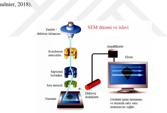 Şekil 1.4. Nyquist diagramı (Bard ve Faulkner, 2001). 
