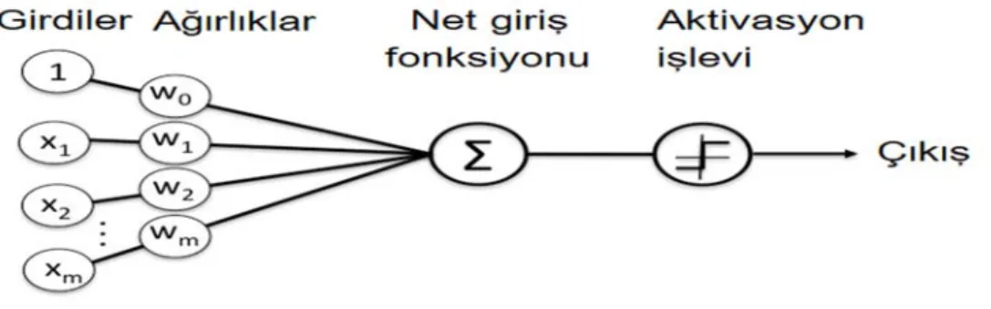 Şekil 3.5. Algılayıcı algoritması (Polat, 2018)  
