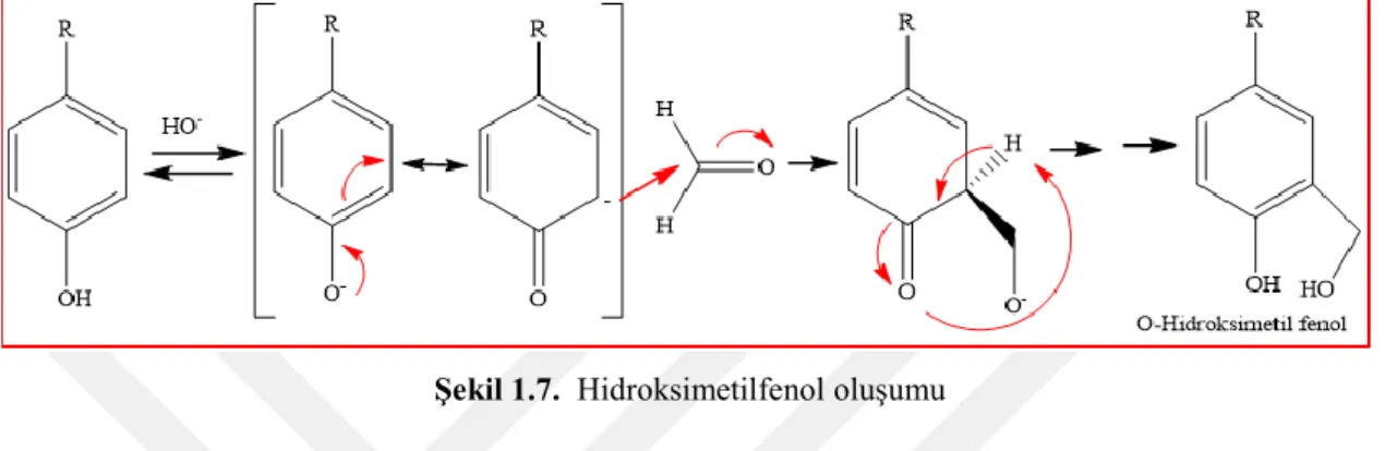Şekil 1.7.  Hidroksimetilfenol oluşumu 