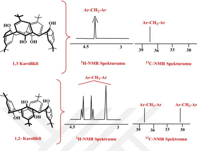 Şekil 1.12. p-ter-bütilkaliks[4]aren’in konformasyonları ve  13 C-NMR ve  1 H-NMR spektrumları 