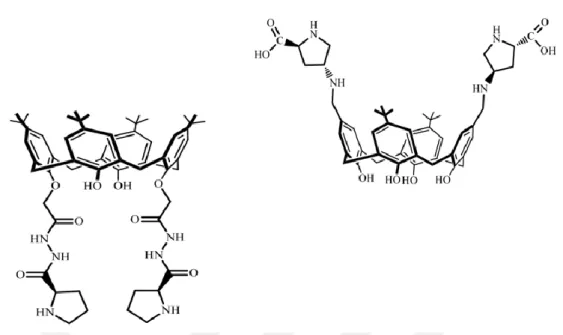 Şekil 1.25.  Elde edilen bileşikler ve Aldol reaksiyonunda kullanılan kaliks[4]arenin pirolin türevi bazlı  organokatalizörler  