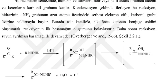 Şekil 2.2.1. Aldehit ve ketonlardan genel hidrazon sentezi reaksiyonu 