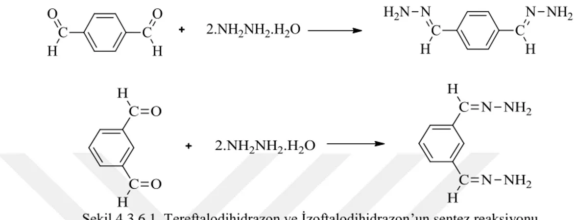 Şekil 4.3.6.1. Tereftalodihidrazon ve İzoftalodihidrazon’un sentez reaksiyonu     