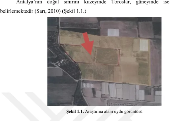 ġekil 1.1. Araştırma alanı uydu görüntüsü 