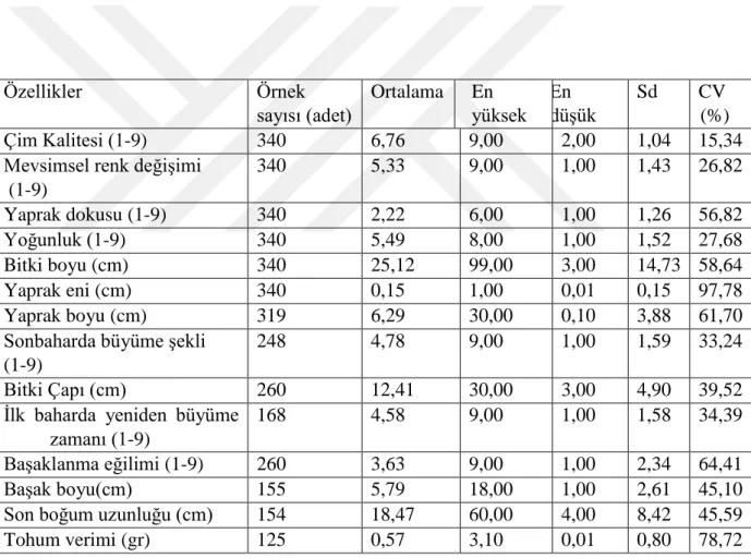 Çizelge  4.3.Festuca  ovina  L.  genotiplerinde  incelenen  özelliklerin  ortalama,  en  yüksek,  en  düşük,  standart sapma (sd) ve değişim katsayısı (CV) değerleri 