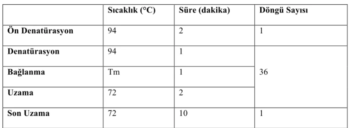 Çizelge 3. 3. PCR koşulları 