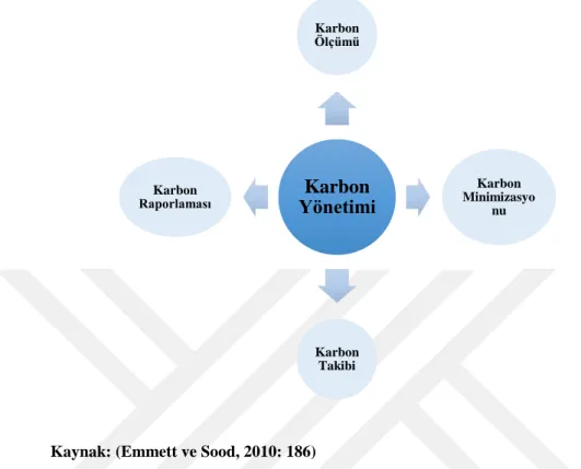 Şekil 2. 6. Karbon Yönetimi İlkeleri 
