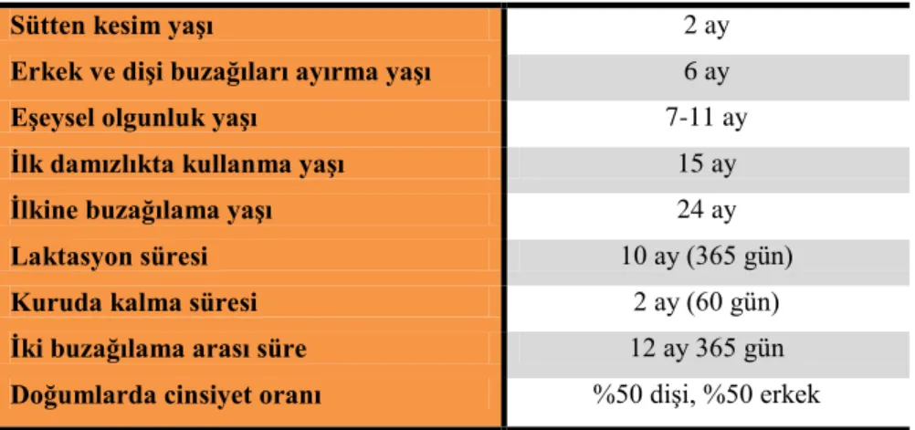 Çizelge 2.1. Sürü akım planına temel oluşturan bazı biyolojik parametreler 