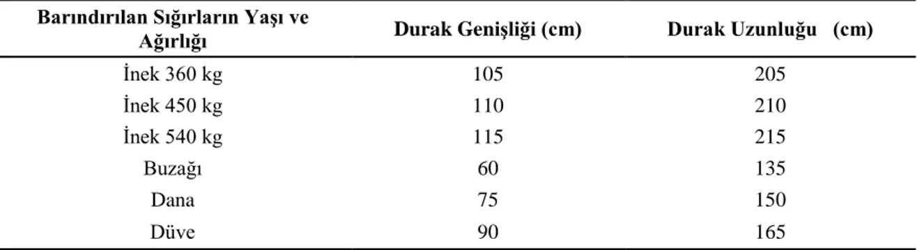 Çizelge 2. 1. ÇeĢitli yaĢta ve kiloda olan sığırlarınserbest durak geniĢlik ve uzunlukları  (Ekmekyapar, 1999) 