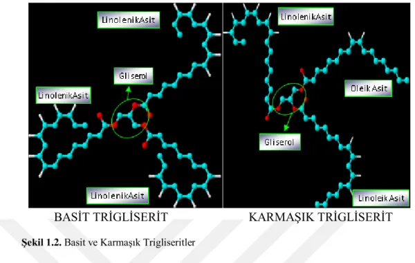 Şekil 1.2. Basit ve Karmaşık Trigliseritler 