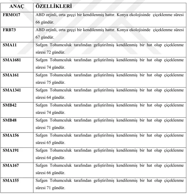 Çizelge 3.1. Araştırmada Kullanılan Kendilenmiş Hatların Genel Özellikleri 