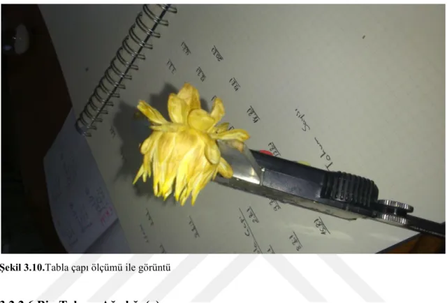 ġekil 3.10.Tabla çapı ölçümü ile görüntü 
