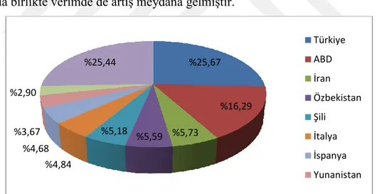 Grafik  5. 8.Kiraz üreticisi ülkelerin 2017 yılı kiraz üretim payları 