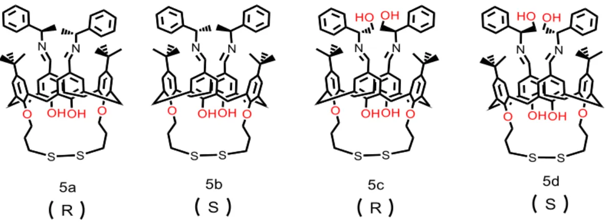 Şekil  1.13.  (R)-1-feniletilamin,  (S)-1-feniletilamin,  (R)-2-fenilglisinol  ve  (S)-2-fenilglisinil  grupları  taşıyan yeni kiral kaliks[4]aren türevleri 