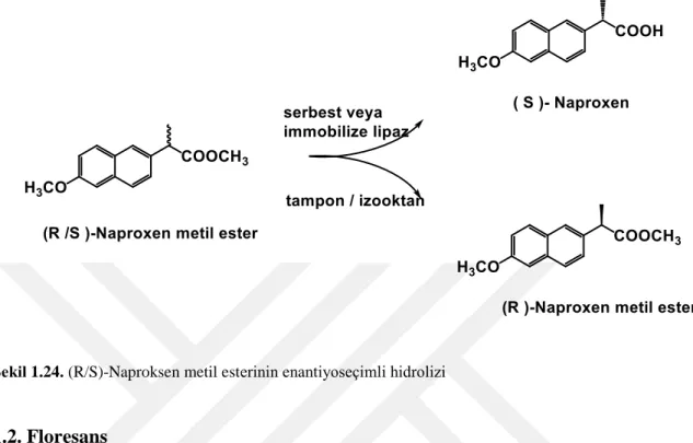 Şekil 1.24. (R/S)-Naproksen metil esterinin enantiyoseçimli hidrolizi 