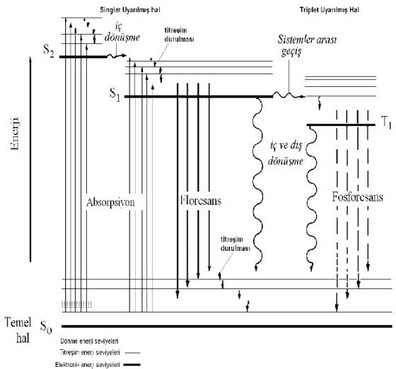 Şekil 1.23... Jablonski diagramı 