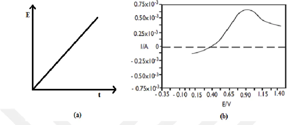 Şekil 1.4. (a) Çalışma elektroduna uygulanan doğrusal gerilim (b) Elde edilen yükseltgenmeye ait  voltamogram 