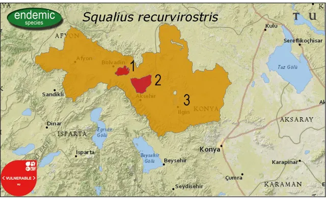 Şekil 2.9. Squalius recurvirostris’in dağılış alanı (IUCN, 2019)