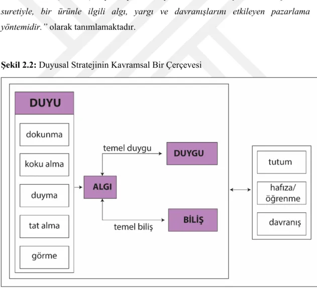 Şekil 2.2: Duyusal Stratejinin Kavramsal Bir Çerçevesi  