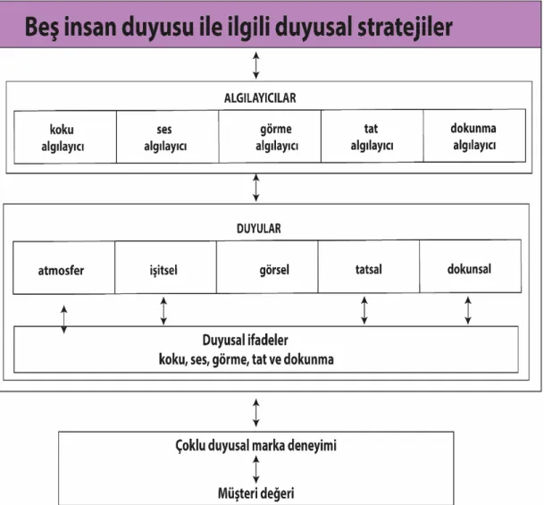 Şekil 2.3: Hulten’in (2009) Duyusal Pazarlama Model 