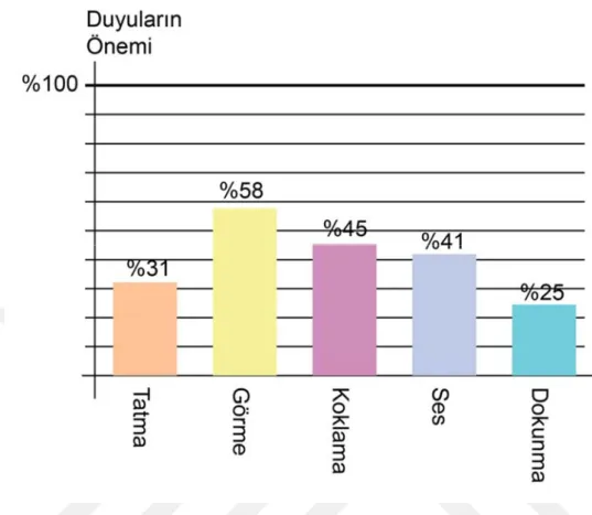 Şekil 2.4: Duyuların Önemi  