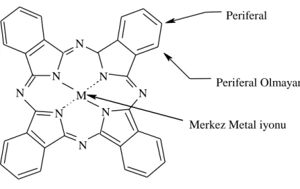 Şekil 1.3 Genel ftalosiyanin yapısında periferal ve periferal olmayan kısımlar 